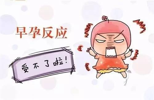 怀孕期间的妊娠反应大小,是暗示你怀的是男孩还是女孩