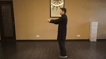 钟鹰扬详解《叶问》中咏春独门绝技