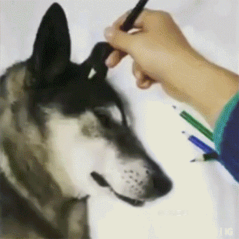 搞笑gif:爷爷用自己的血泪教训告诉后辈,如何判断女人