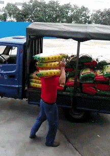 搞笑囧图:整套动作一气呵成,受害人应该不少