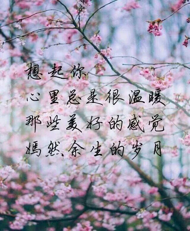 相识,相知,相遇,再相逢