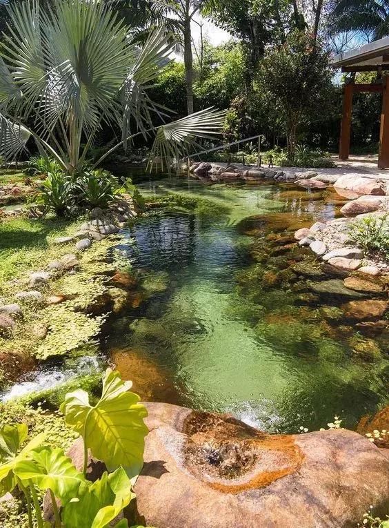 家庭园艺|庭院花园里的自然水池,这样来做 水景可以这样造!