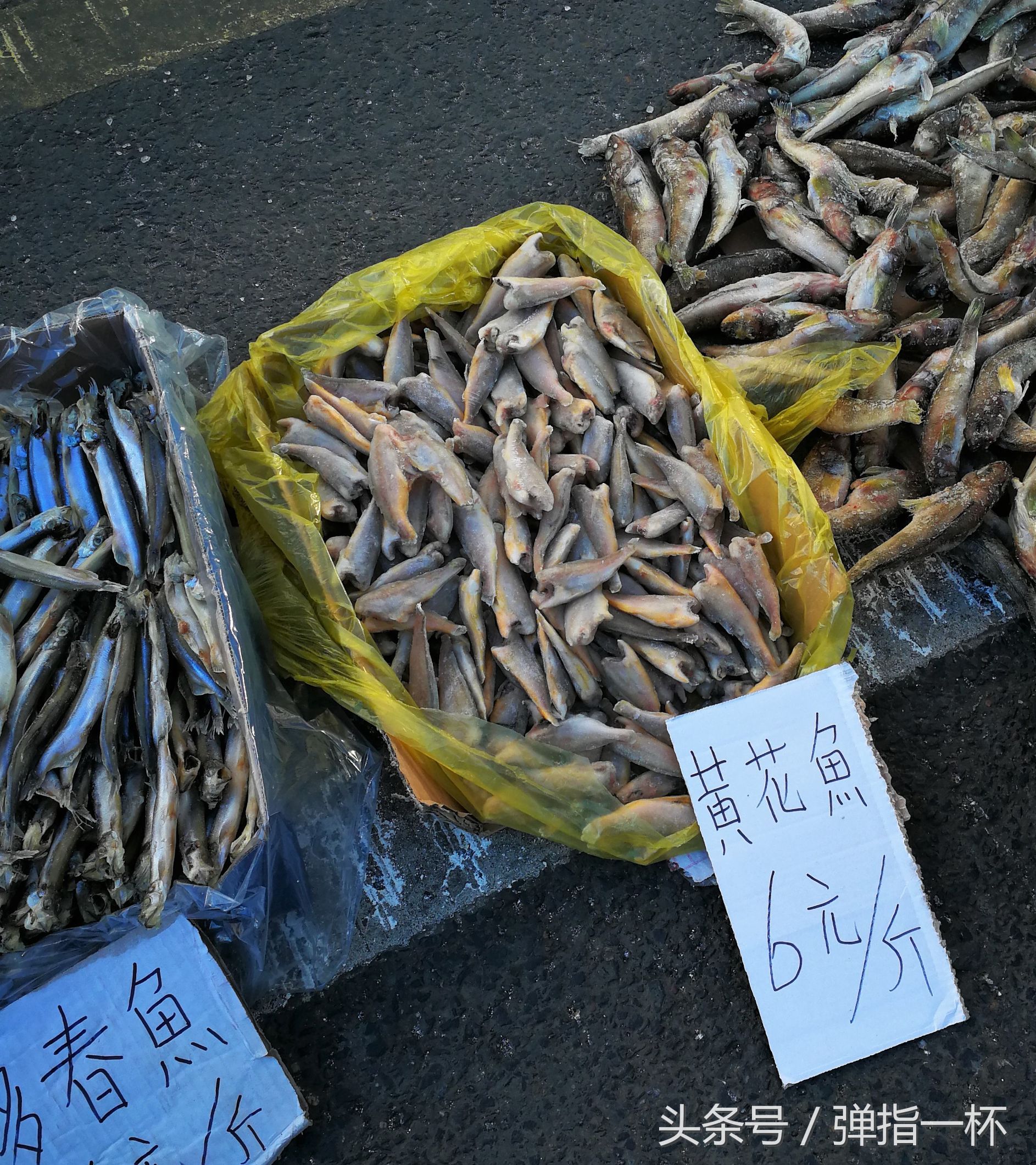 东北小城零下30度各种冻鱼棒子,边花,岛子5元一条老头鱼6块一斤