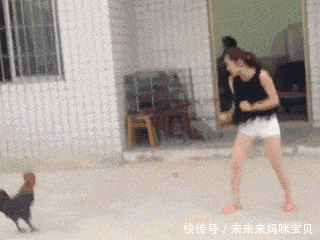 本事同根生,相煎何太急,来吧,互相伤害吧!