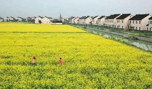 别总去观前街,平江路了,这些地方才是苏州春天最值得去的!