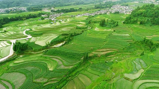 一水护田将绿绕,两山排闼送青来.