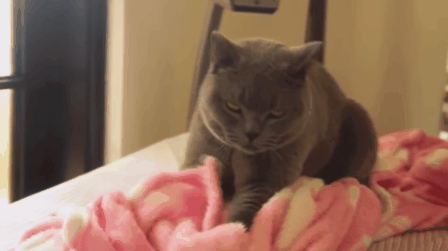 爆笑gif: 姑娘,我敬你是条汉子!