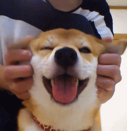 主人你别这样,我的耳朵难受