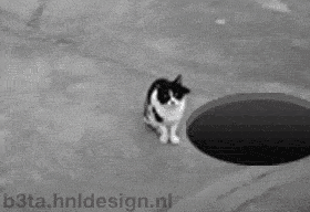搞笑gif:这年头,男孩没有一技之长是找不到女票的