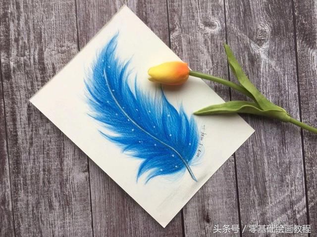 零基础绘画教程彩铅《蓝色羽毛》