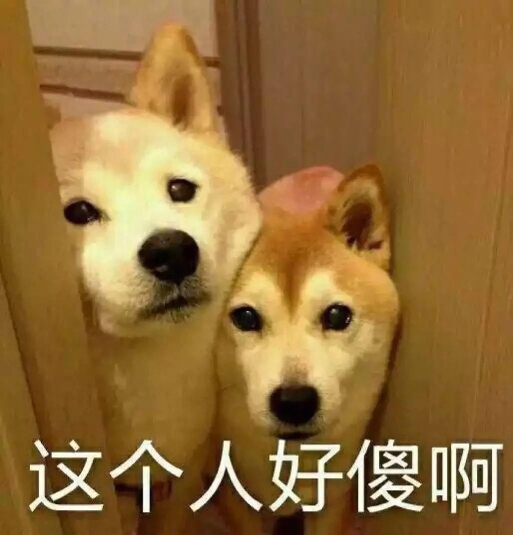 开心一刻丨被别人蠢哭有什么了不起,被自己蠢哭才是真