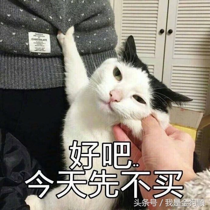 猫咪表情包送给你们