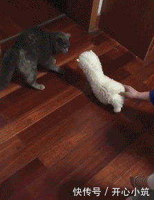 223_289gif 动态图 动图