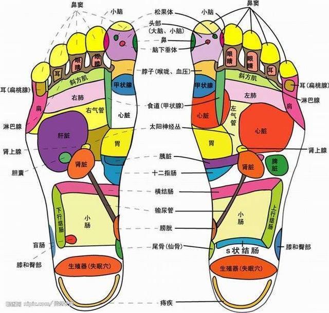 "脚"是第二个心脏,你需要了解的泡脚和足底穴位按摩的