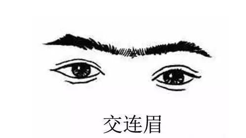 分析富贵贫贱,眉毛可以看出我们的品性,因此好的眉毛能够带来好的运气