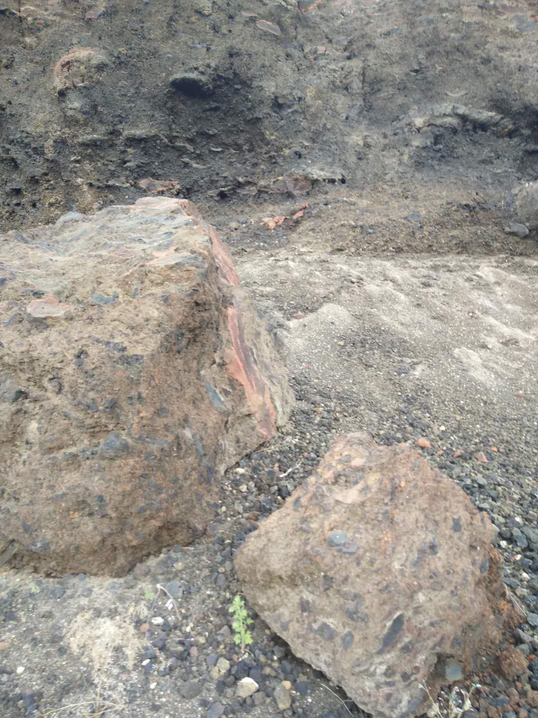 东北一座休眠火山口里到处都是美丽的火山岩,捡到火山