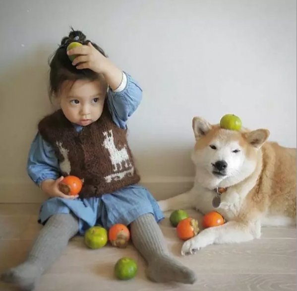 镜头下小女孩与柴犬的不解之缘,"谢谢你出现在我的生命里"