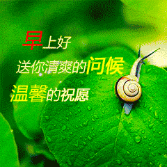 冬天早上好问候语动态表情图片
