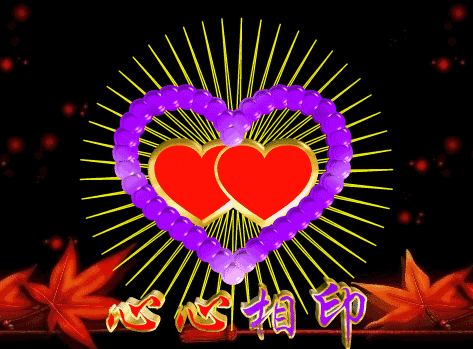 寓意:我爱你一生一世. 在这神奇的时刻, 收到短信的人将一生幸福.