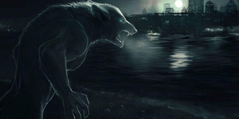 现在, 天黑请闭眼,狼人请睁眼 狼人:我每回合"黑夜"可杀害一人,对象