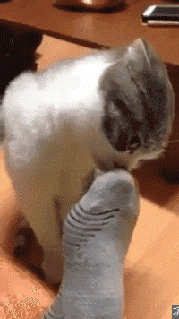 相信很多网友都大吃一惊,没想到处理结果竟是这样!