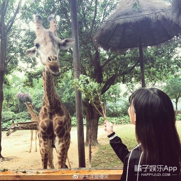 还记得《麻辣女兵》的女主汤小米吗?她现在长这样