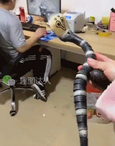 搞笑gif图:这墙怎么就不给我让道呢?我就不信这邪了!