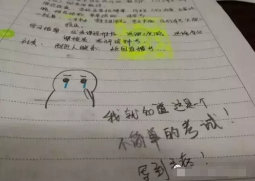 这么可怜的表情,改卷老师差点就给分了