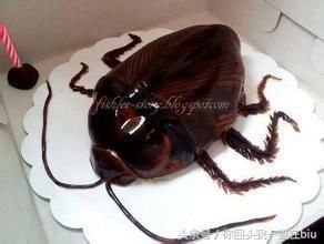 全球"最恐怖的美食", 一道都不敢吃的有吗?