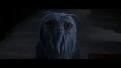 搞笑gif图片:一只为了吃可以舍弃生命的老鼠-北京时间