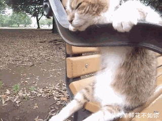 爆笑gif动图:三个可爱的姑娘,看看你喜欢哪一个啊?