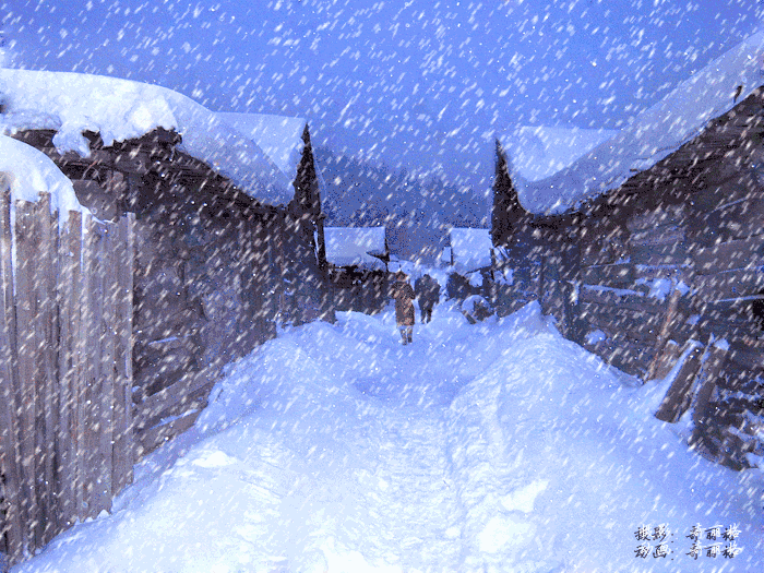 于飘飘落雪中,等待你的到来!