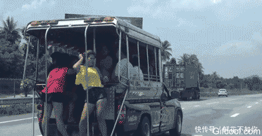 爆笑gif动图:放开我的猫,有本事冲我来.