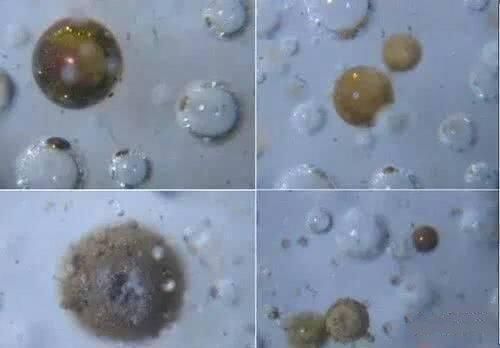 如何从气泡鉴定瓷器的新老 图文讲解更易懂