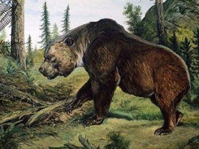 曾经统治地球的远古巨兽都有哪些呢?科学家告诉你答案