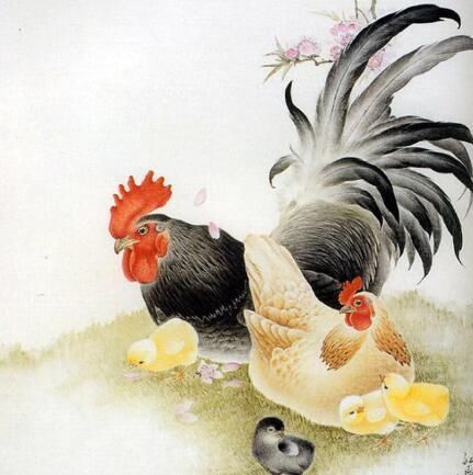 生肖鸡