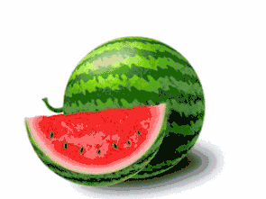 硒妹儿:走,云雾山水田坪村摘西瓜去!