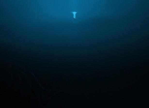 海洋中最深处的部分延伸到11公里处,成为一个含水的深渊.