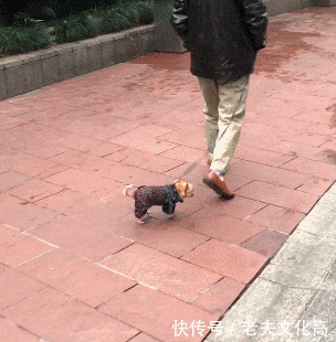 搞笑gif: 好好干, 明年哥给你娶个嫂子!