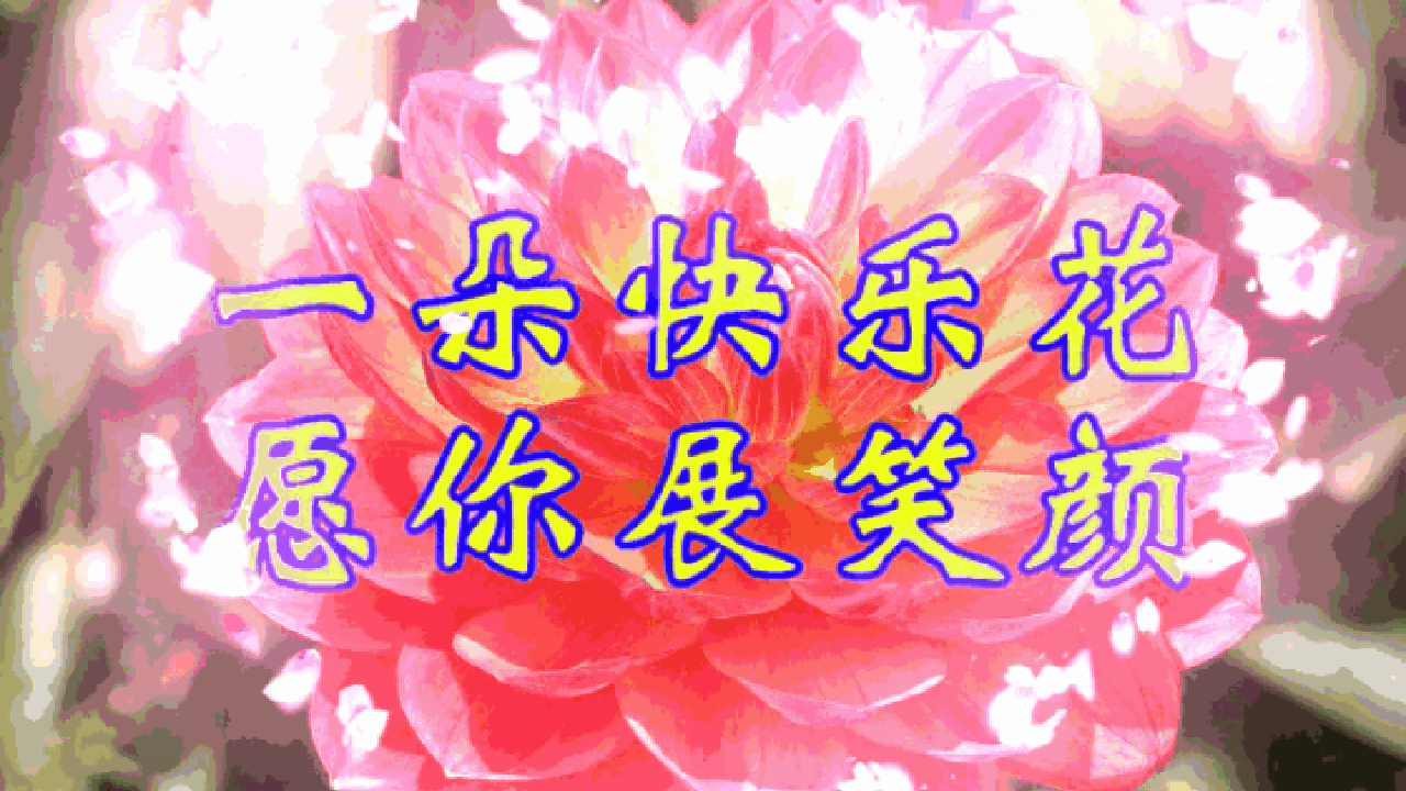 早晨安好!送你八朵祝福花,愿你一天到晚乐开花