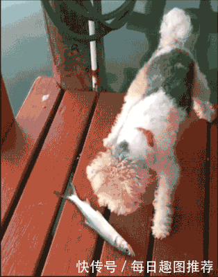 搞笑gif图:姑娘看到帅哥后,样子变的真是可爱啊!