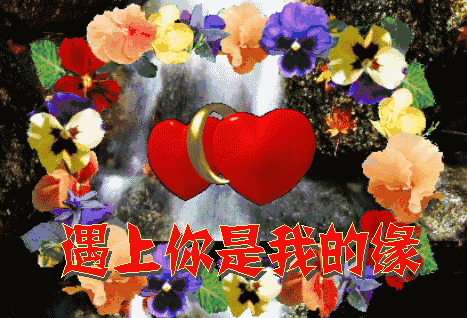 早上好,送你七个愿望,祝你周六愉快!