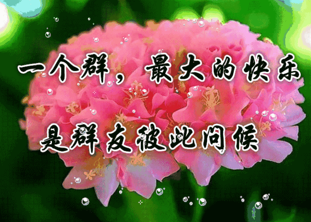 好美好漂亮,送给群主,让各位群主笑一下!