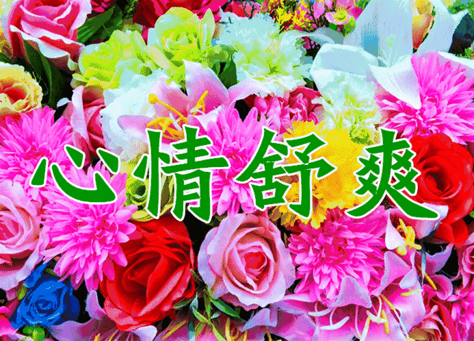 五愿你事情好,好运连连,万事大吉