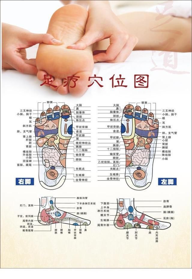 "脚"是第二个心脏,你需要了解的泡脚和足底穴位按摩的