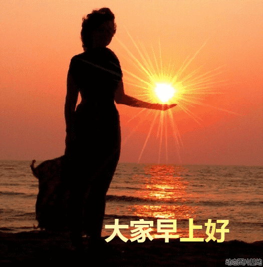 525_533 gif 动态图 动图