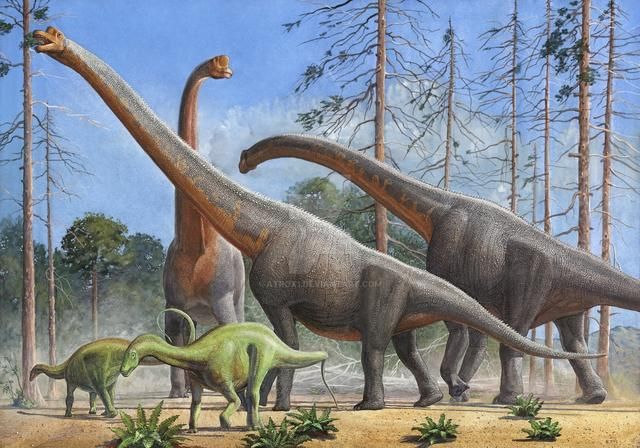 布氏长颈巨龙过去称布氏腕龙(brachiosaurus brancai),小的是叉龙(dic