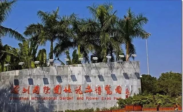 小蝴蝶游戏场,糖果游戏场,石溪游戏场,小荔枝游戏场地址:深圳市福田区
