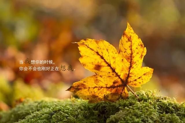 想你,在夜深人静