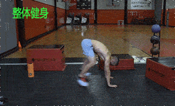 7个腿部锻炼动作, 每周2-3次, 坚持2周就能让你走路身